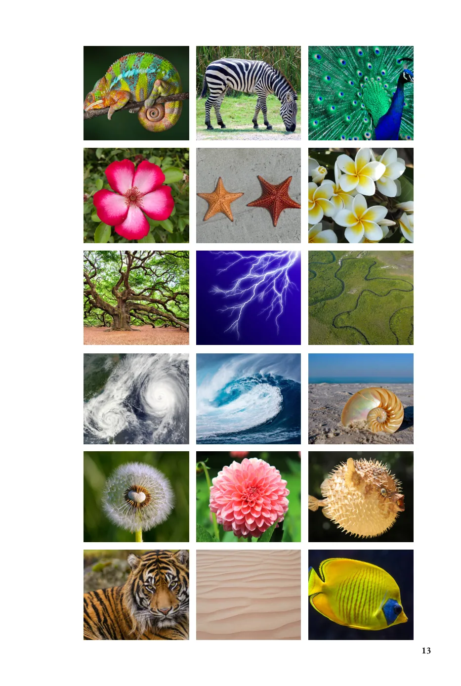 Hello Geometry sample page — patterns in nature