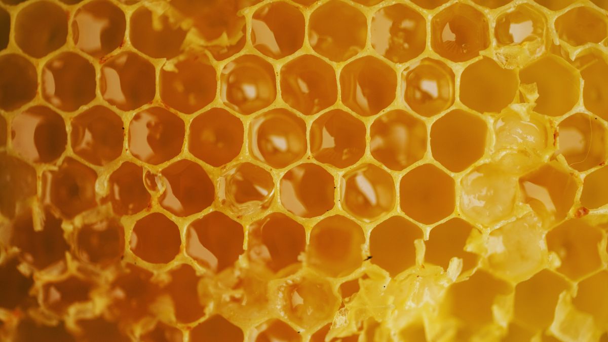 Honeycomb showing perfect hexagonal tiling