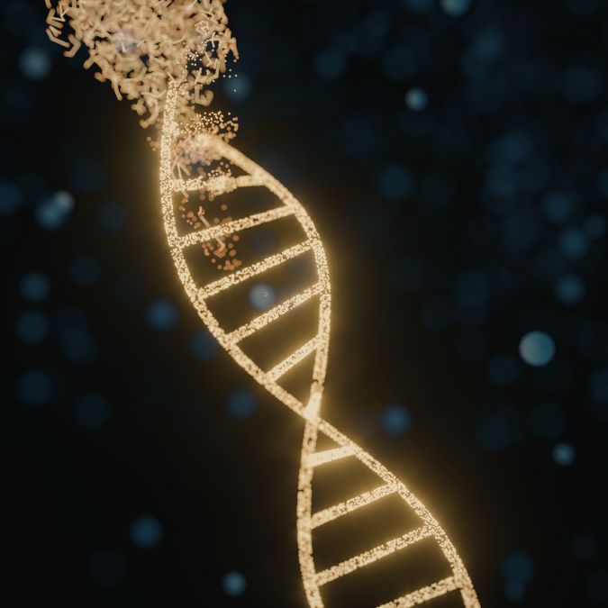 DNA double helix structure