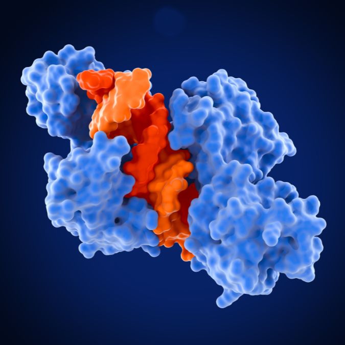 Protein folding into precise geometric shapes