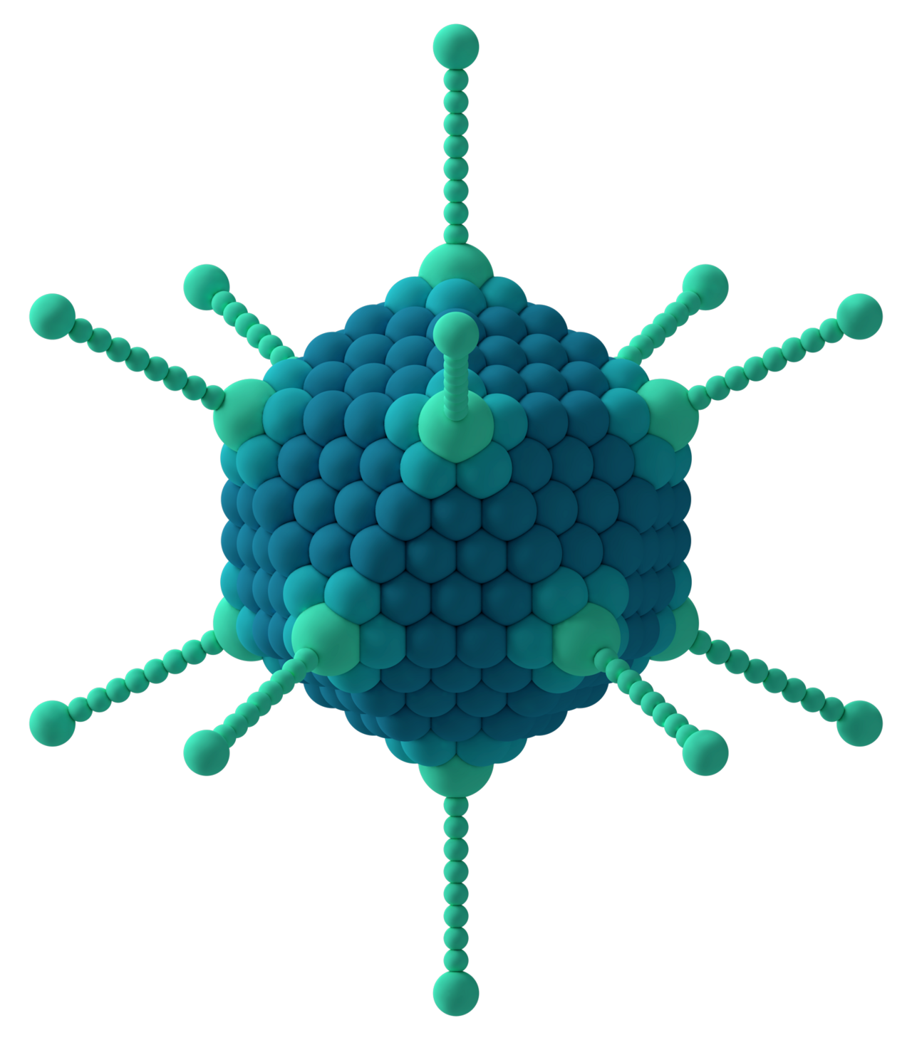 3D schematic of the adenovirus showing its icosahedral capsid structure