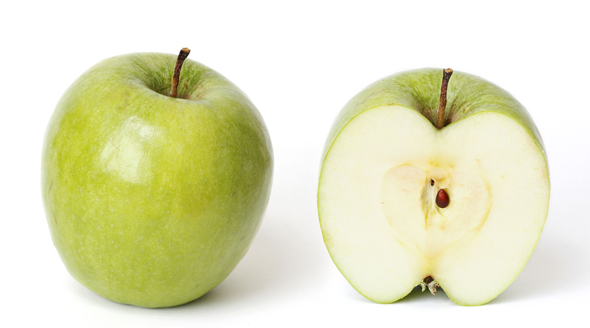 A whole apple beside its vertical cross-section, revealing the toroidal profile — dimple at the top (stem), dimple at the bottom (calyx), and the seed core running through the centre like the hole of a torus