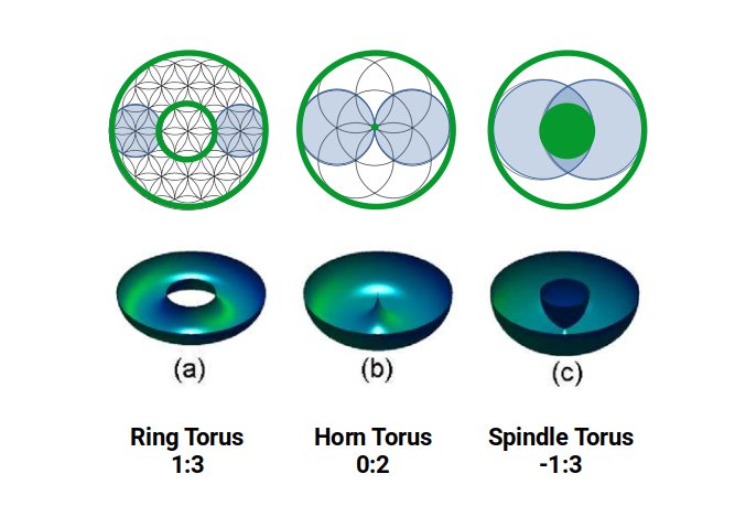 Diagrams showing the expansion ratios of the ring, horn, and spindle torus as they project onto a 2D plane