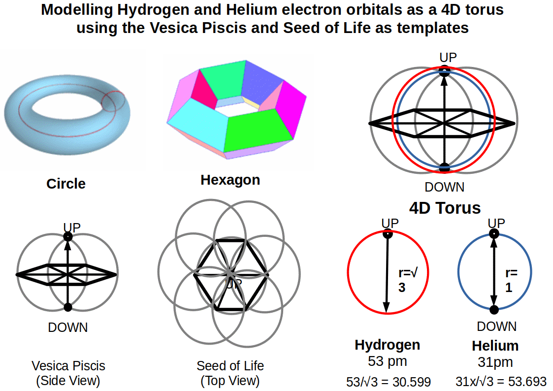 Animated diagram showing how the Vesica Piscis and Seed of Life combine to form a 4D torus model of hydrogen and helium