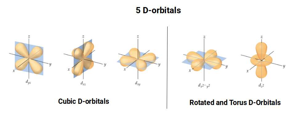 The five types of D-orbital geometry