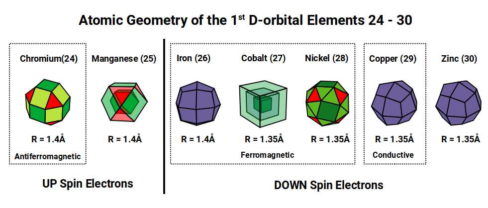 Polyhedral forms assigned to D-orbital elements 24 through 30 in Atomic Geometry