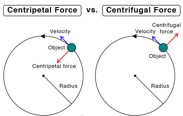 Centripetal versus centrifugal force in a rotating system
