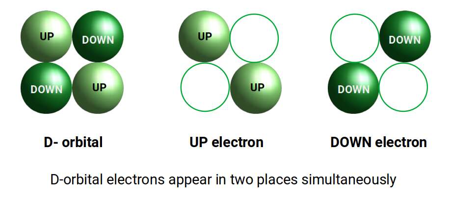D-orbital electron lobes showing two simultaneous spatial positions