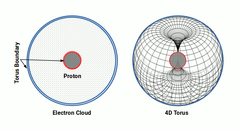 The electron cloud modelled as a toroidal field