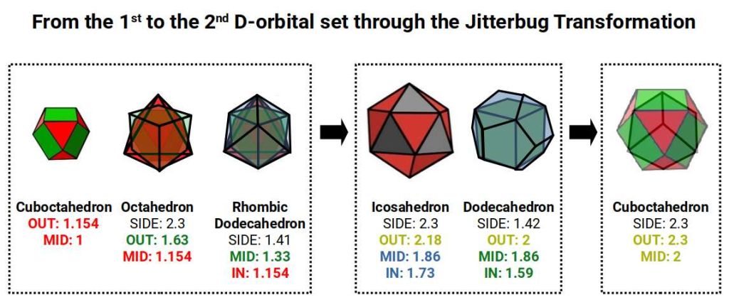 Diagram tracing the Jitterbug transformation sequence from Potassium (19) through to Zirconium (40), with atomic radii matched to geometric out-spheres and mid-spheres. Red = P-orbitals, Green = D-orbitals, Blue = F-orbitals