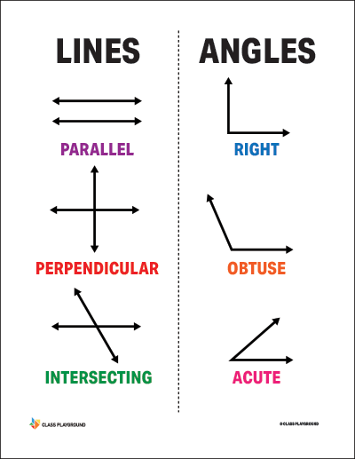Lines and angles — the building blocks of geometry