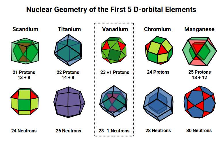 Nuclear geometry of the first five D-orbital elements from Scandium to Manganese