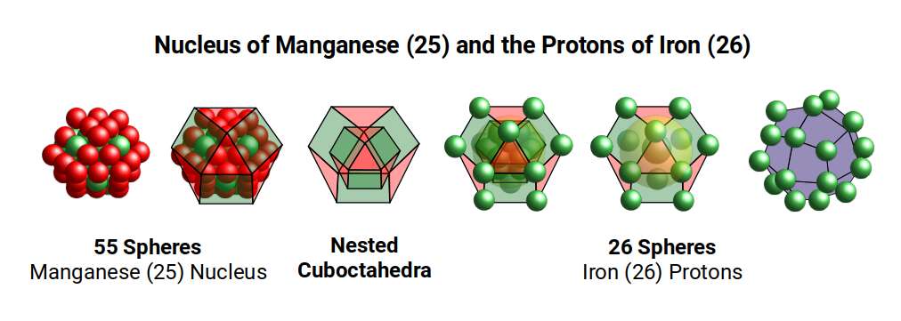 Nuclear geometry of Manganese (25) and Iron (26) — large Cuboctahedron and Deltoid Icositetrahedron