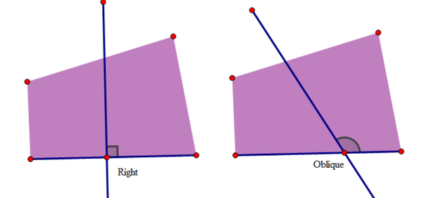 Oblique lines meeting a plane