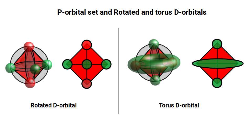 Rotated and torus D-orbitals superimposed over P-orbitals