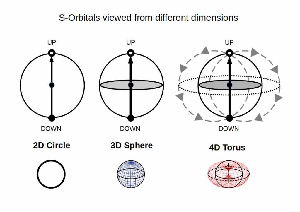 S-orbitals viewed in 2D as a circle, in 3D as a sphere, and in 4D as a torus