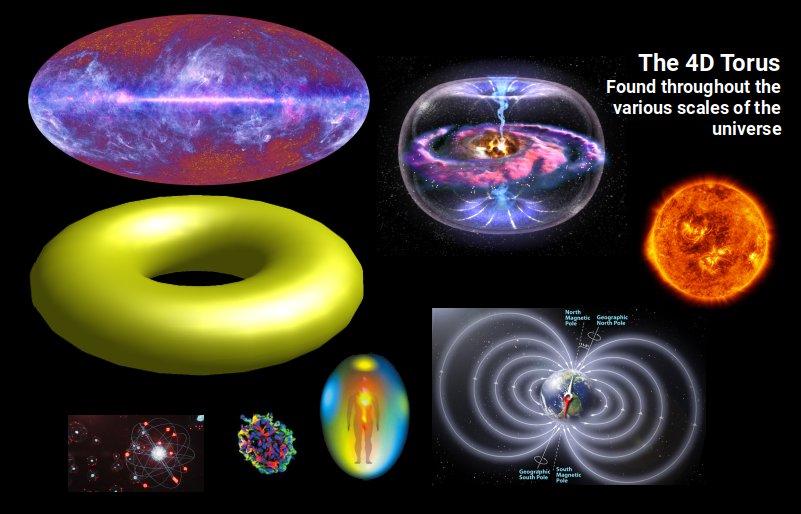 The 4D Torus found throughout the various scales of the universe — from <a href=