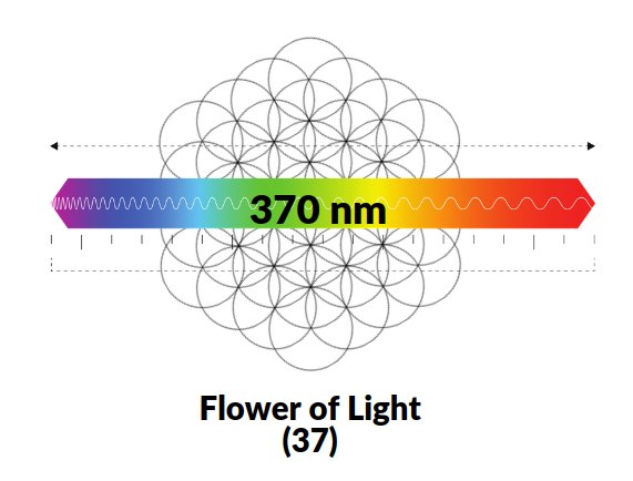 The Flower of Light — 37 circles of the extended Flower of Life tapestry corresponding to the visible light spectrum