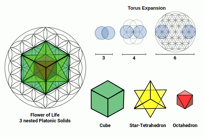The five Platonic solids nested within the Flower of Life pattern, showing how the geometric progression of overlapping circles encodes the three-dimensional solids