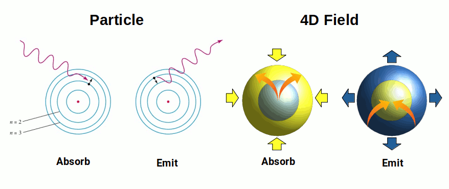 Absorption and emission compared between particle model and 4D wave model