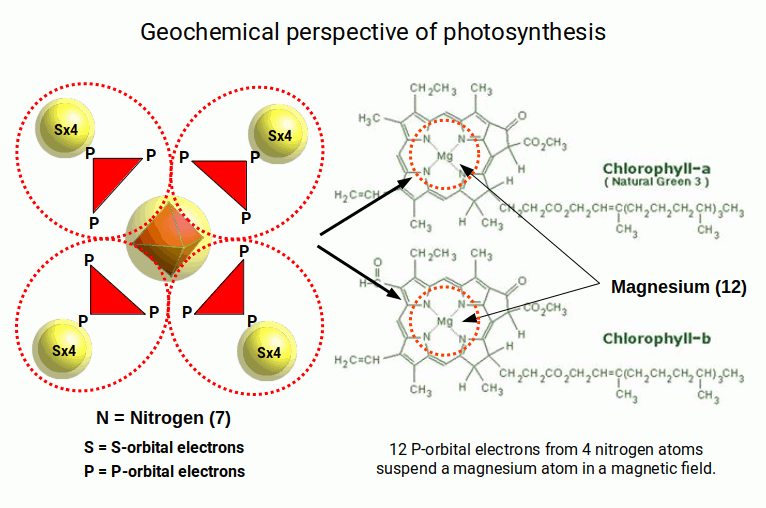 Chlorophyll molecular structure showing central magnesium atom coordinated by four nitrogen atoms, with geometric overlay illustrating the octahedral symmetry