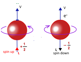 Electron spin up and down states