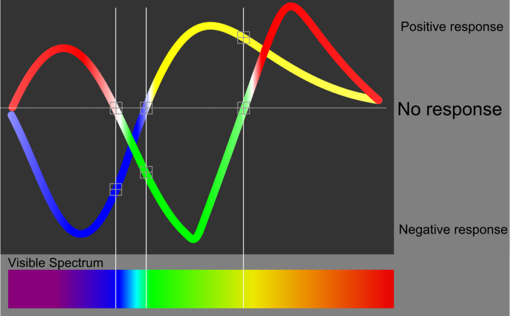 The two-wave structure of visible light showing the red-green-red and blue-yellow colour waves