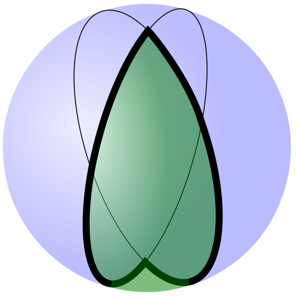 A lune on the surface of a sphere