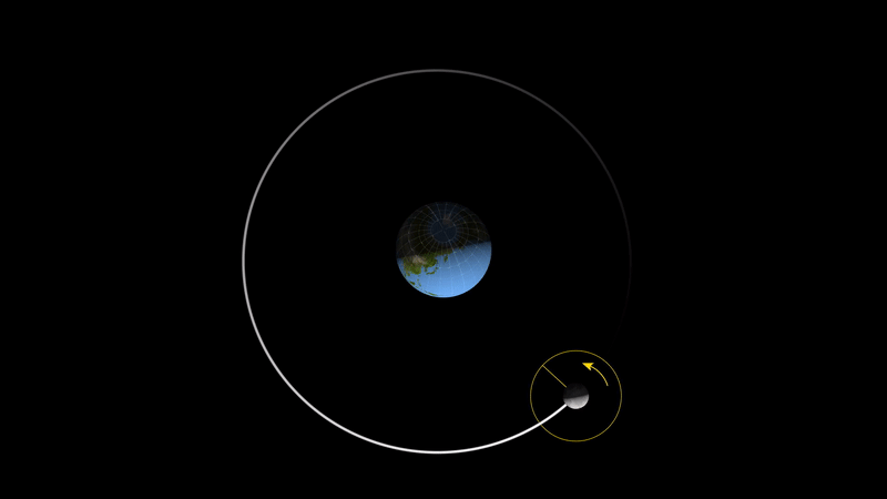 Animation of the Moon's tidal locking with Earth, showing one face always pointing toward Earth