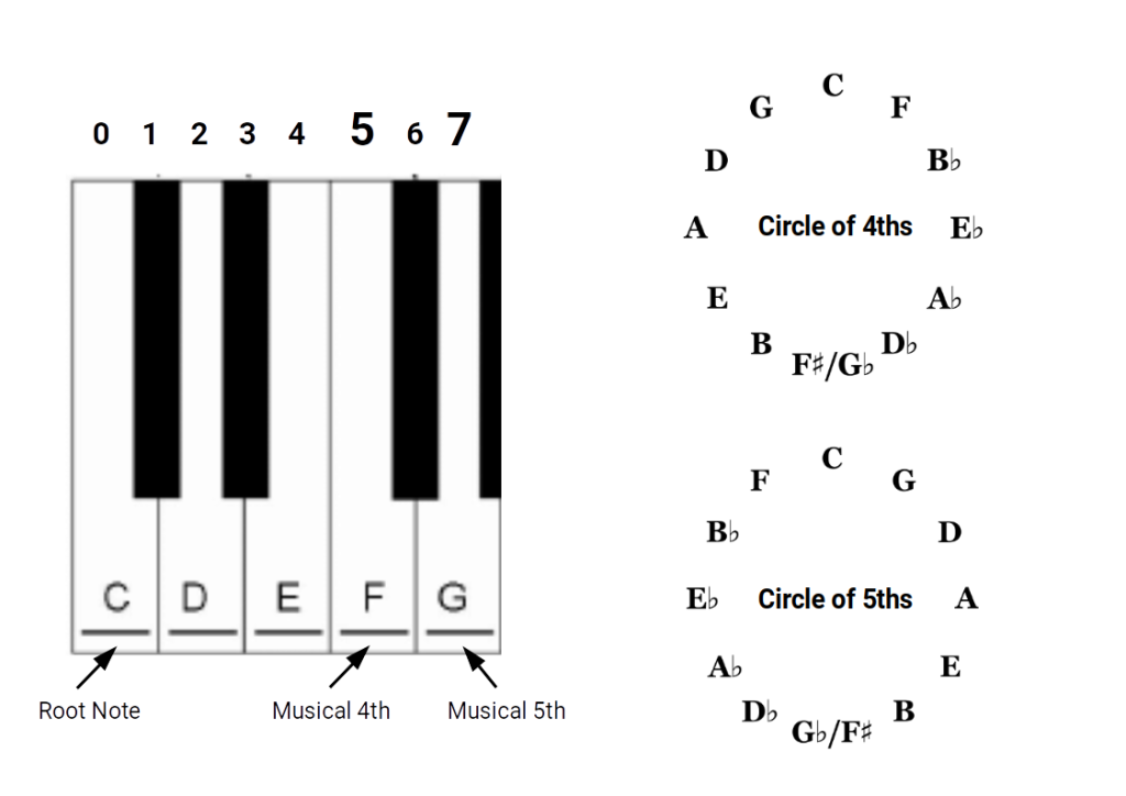 The circle of fourths and fifths showing all 12 notes of the chromatic scale