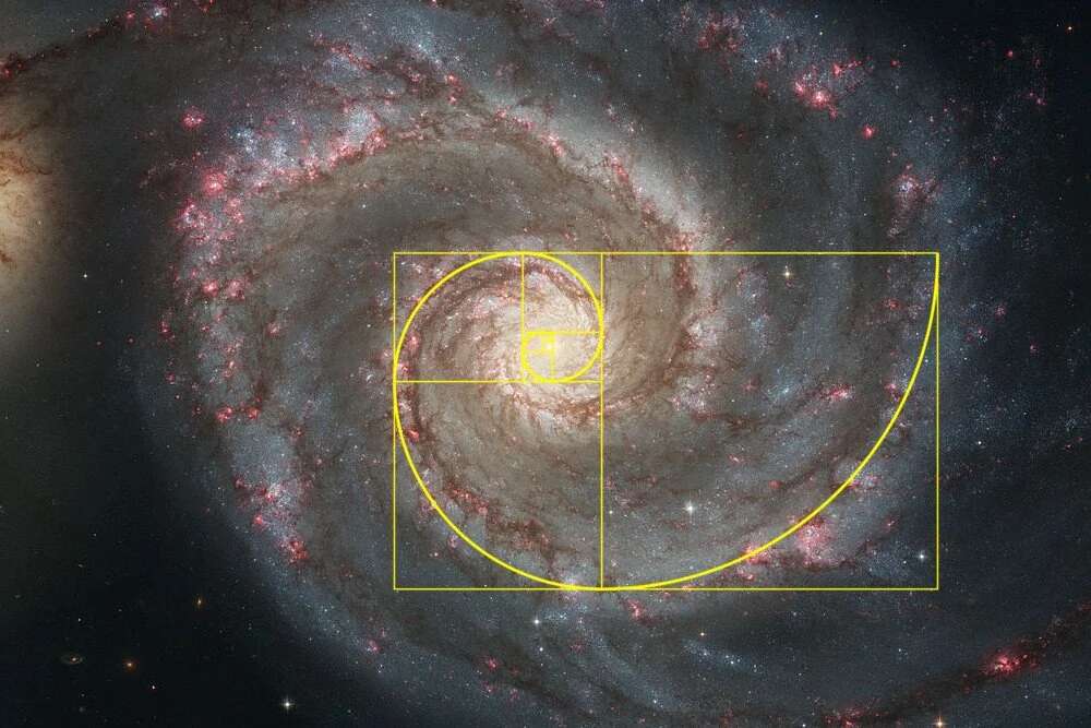 The golden spiral overlaid on a spiral galaxy — the Fibonacci spiral matching the galactic structure