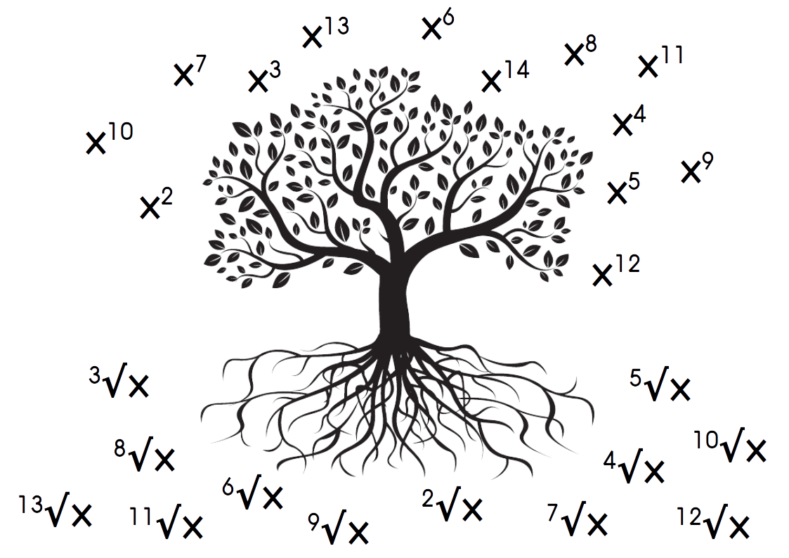 Tree diagram showing an infinite branching structure of roots and powers for any number