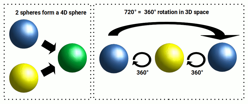 Diagram showing a 3D sphere intersecting a 2D plane, with the cross-section appearing as an expanding then contracting circle