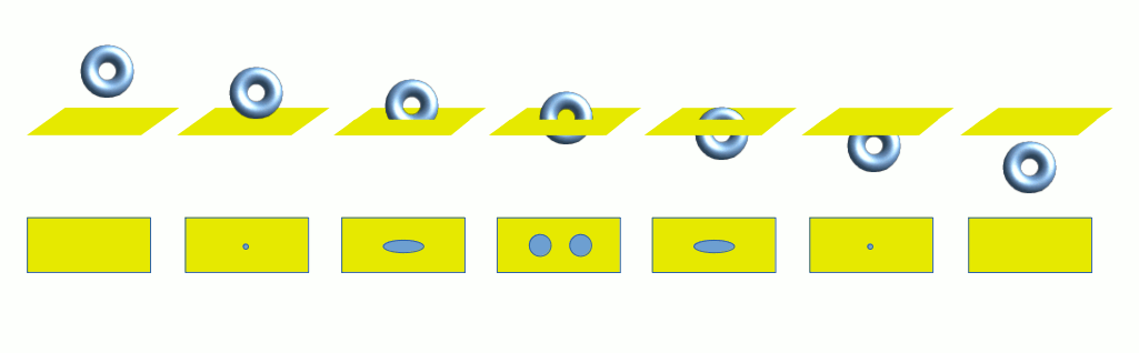 Sequence showing a ring torus passing through a 2D plane viewed from the side, producing two circles at the midpoint