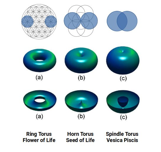 Three types of torus — ring torus, horn torus, and spindle torus — shown alongside their corresponding sacred geometry patterns: Flower of Life, Seed of Life, and Vesica Piscis