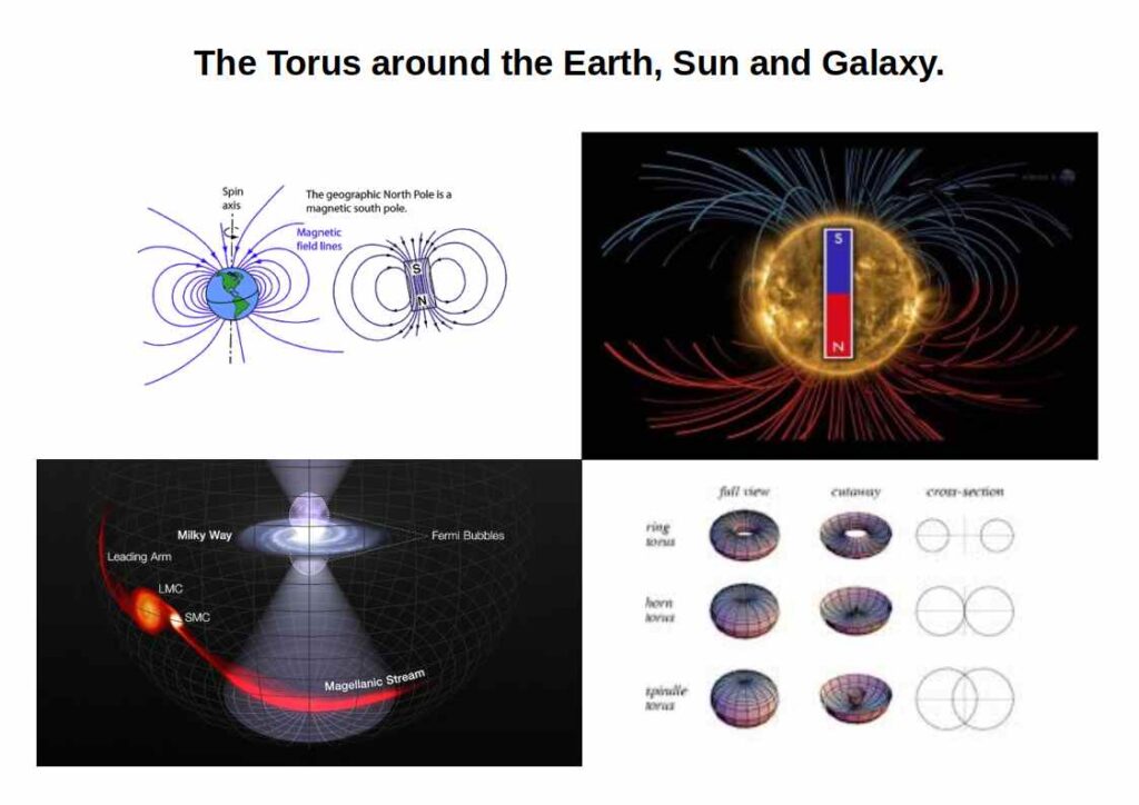 The torus around the Earth, Sun, and Galaxy — toroidal magnetic fields at every cosmic scale