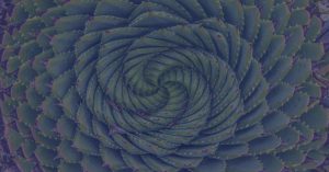 spiral pattern plant