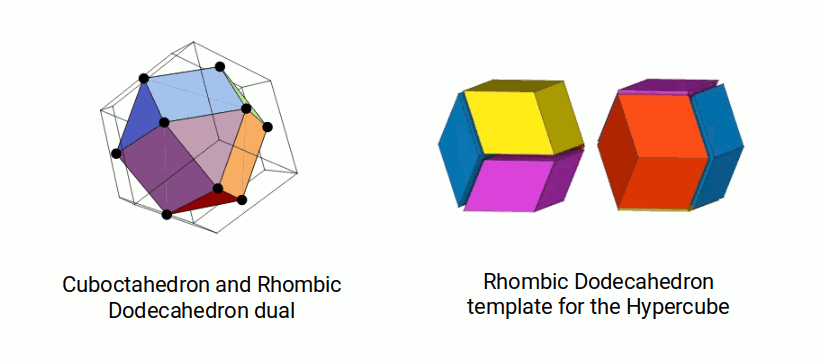 Cuboctahedron Rhombic Dodecahedron and the hypercube