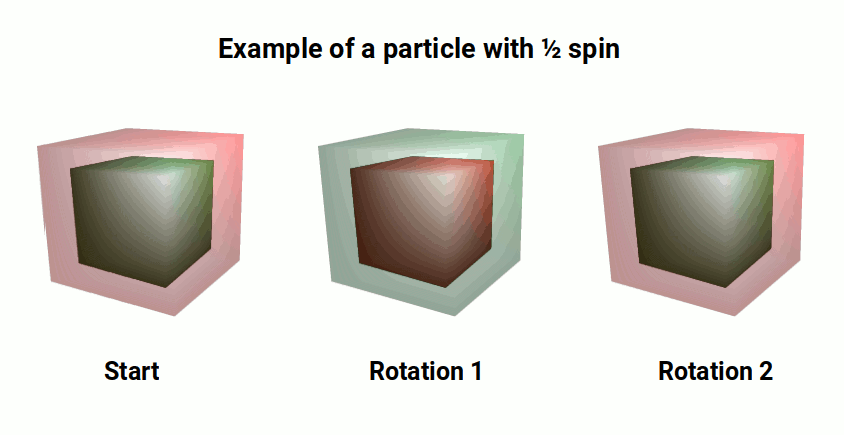 example of half spin particle